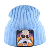 Bonnet Master Roshi Dragon Ball Z - DBZ