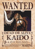 Posters One Piece Wanted Monkey D. Luffy Shanks Ace Gol D. Roger - Streetwear Style