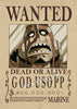 Posters One Piece Wanted Monkey D. Luffy Shanks Ace Gol D. Roger - Streetwear Style